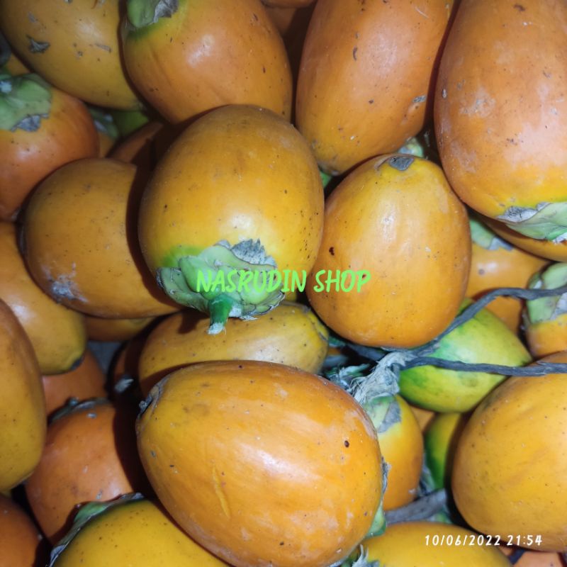 

BUAH PINANG SEGAR TUA | BUAH PINANG MATANG | BUAH JAMBE