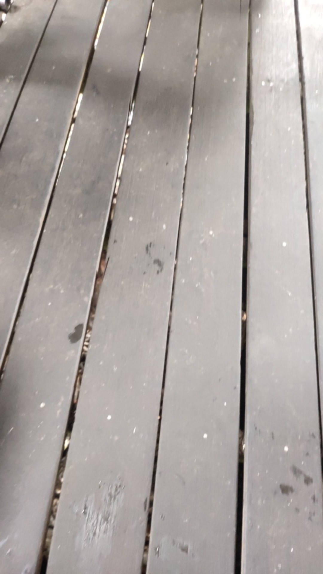 Hasston Prohex Sikat 3-in-1 Set Kawat 3 Pcs 9 Inch