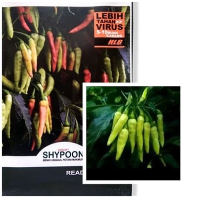 Bibit Benih Cabe Shypoon - Repack 50 biji