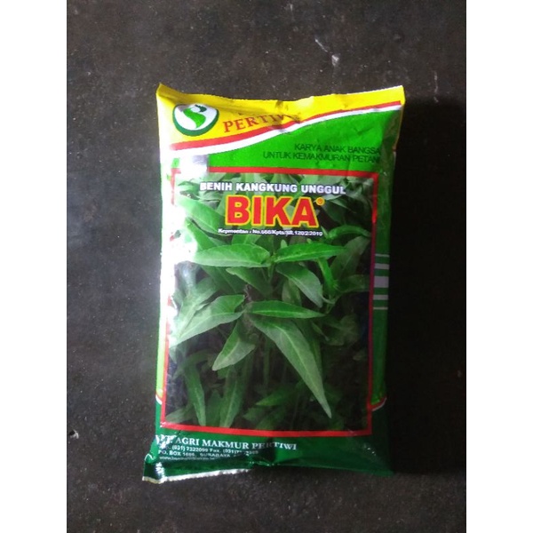 benih bibit kangkung cabut