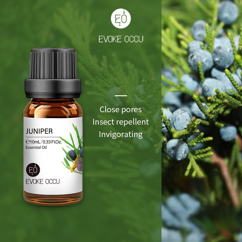 Evoke Occu - Juniper 10ml Essential Oil Minyak Aroma Terapi Diffuser Humidifier Natural Relax Fresh Candle Soap Bath Aromatherapy