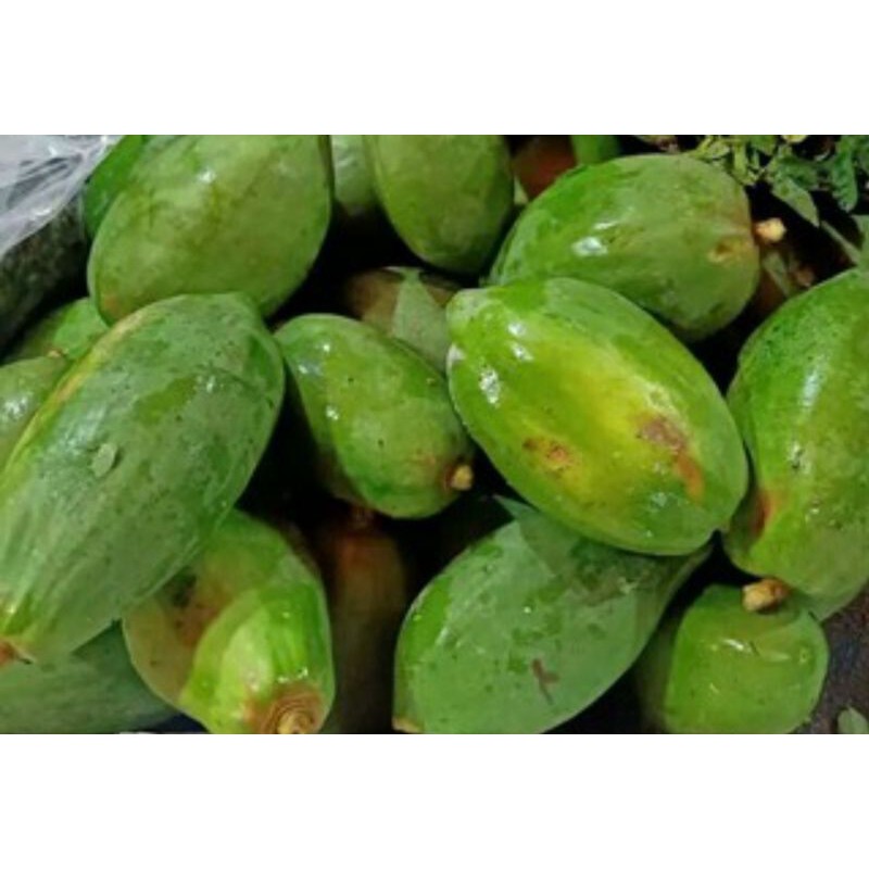 

Pepaya Mude / sd 1kg