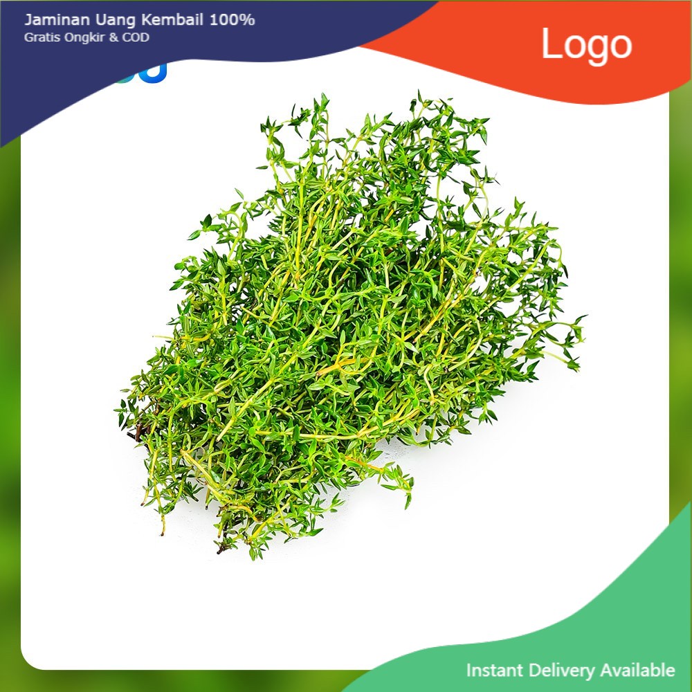 

Daun Thyme Organik 50 g