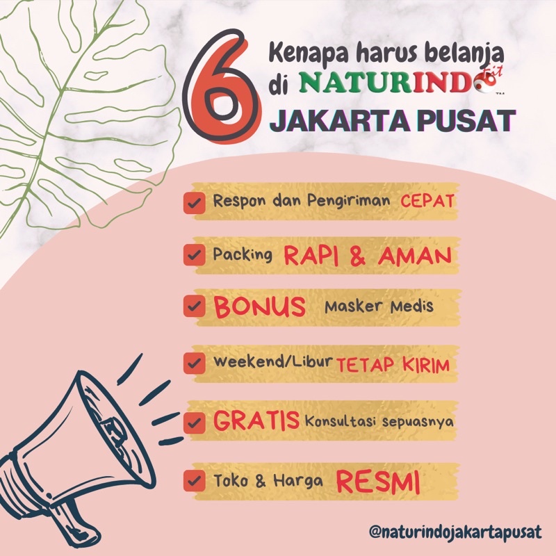 Naturindo BRON C FIT Obat Herbal Sesak Nafas, Gangguan paru2 dan Kulit, Alergi dingin, Gurah paru-paru-1