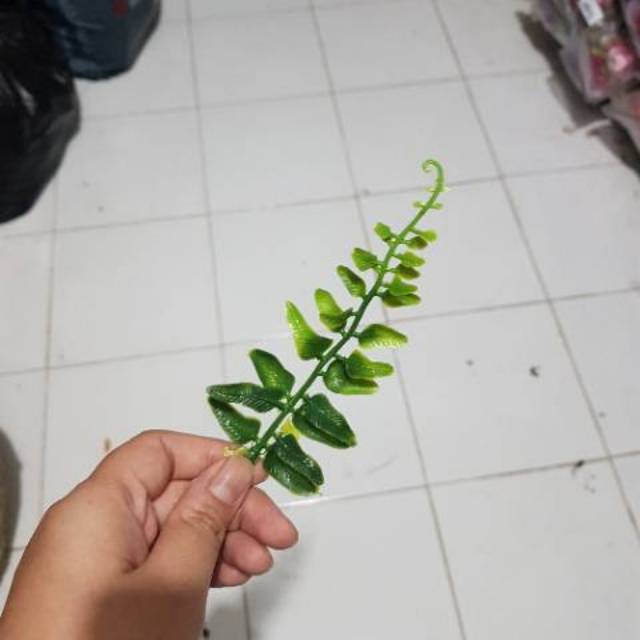 DAUN PAKIS HAJI Daun Artificial Daun Imitasi Daun pakis imitasi