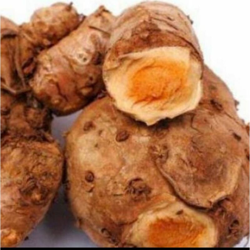 

TEMULAWAK - 250 GR