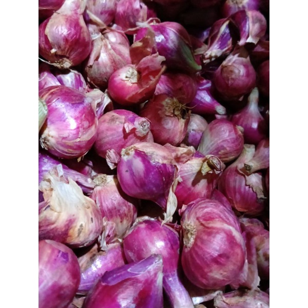 

BAWANG MERAH ASLI BREBES FRESH DAN BERSIH 1 KG | BAWANG MERAH SUPER | BAWANG MERAH LOKAL | BRAMBANG | BAWANG PUTIH