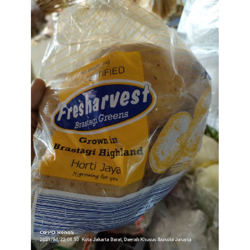 

kentang Brastagi (kg)