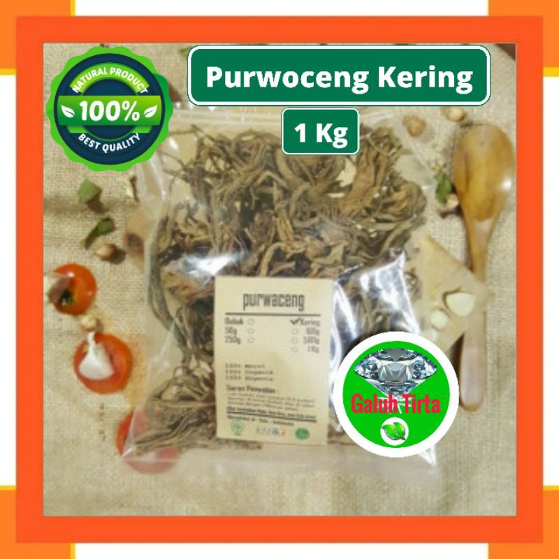 

PURWOCENG KERING 1 KG - Pimpinella Pruatjan - MURNI - JSR - REMP
