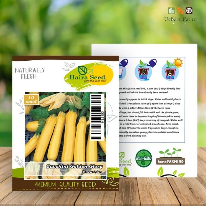 Bibit-Biji Zucchini Golden Glory (Haira Seed)