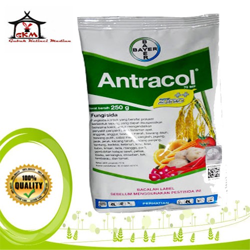 Antracol 70 WP Fungisida Bayer 250 gr