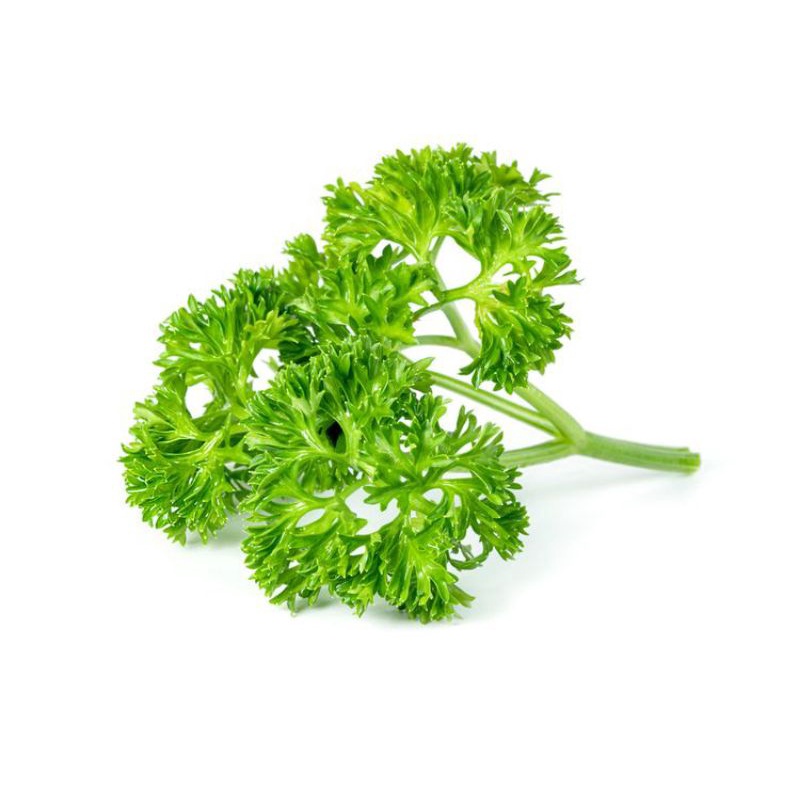 

Peterseli/Parsley