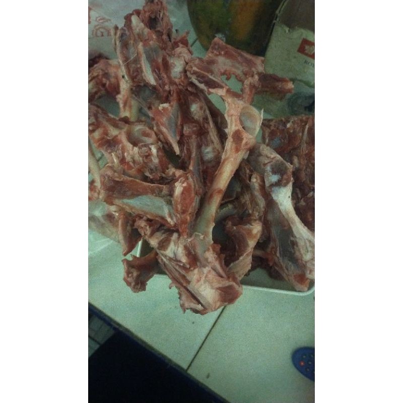 

Tulangan kambing