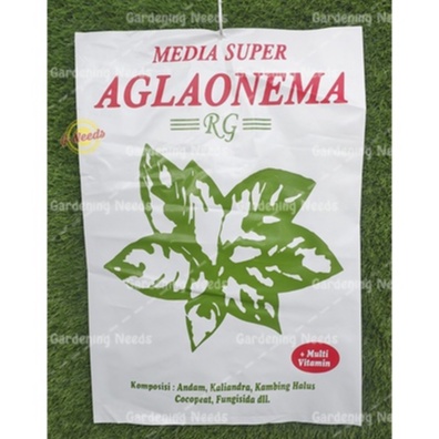 Media Tanam Super Aglonema / Aglaonema / Aglo Siap Pakai