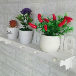 DODORY Pot Tanaman BUNGA MERAH CABE Dekorasi Rumah DODORY Pot Tanaman BUNGA MERAH CABE Dekorasi Rumah