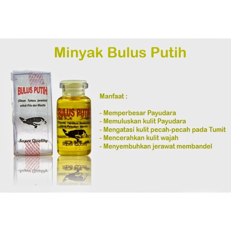 Minyak Bulus Putih 5 Botol Shopee Indonesia