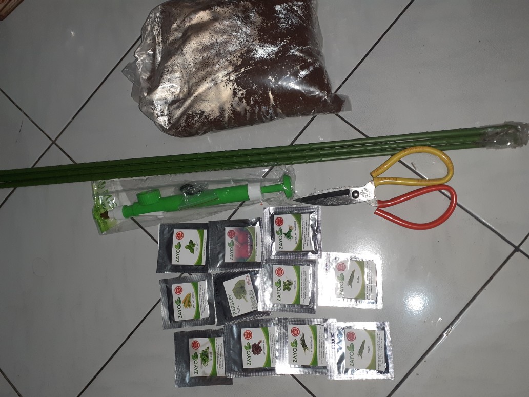 Benih Bayam Merah - Bibit Bayam Merah - Benih Bayam Merah Zayoseed