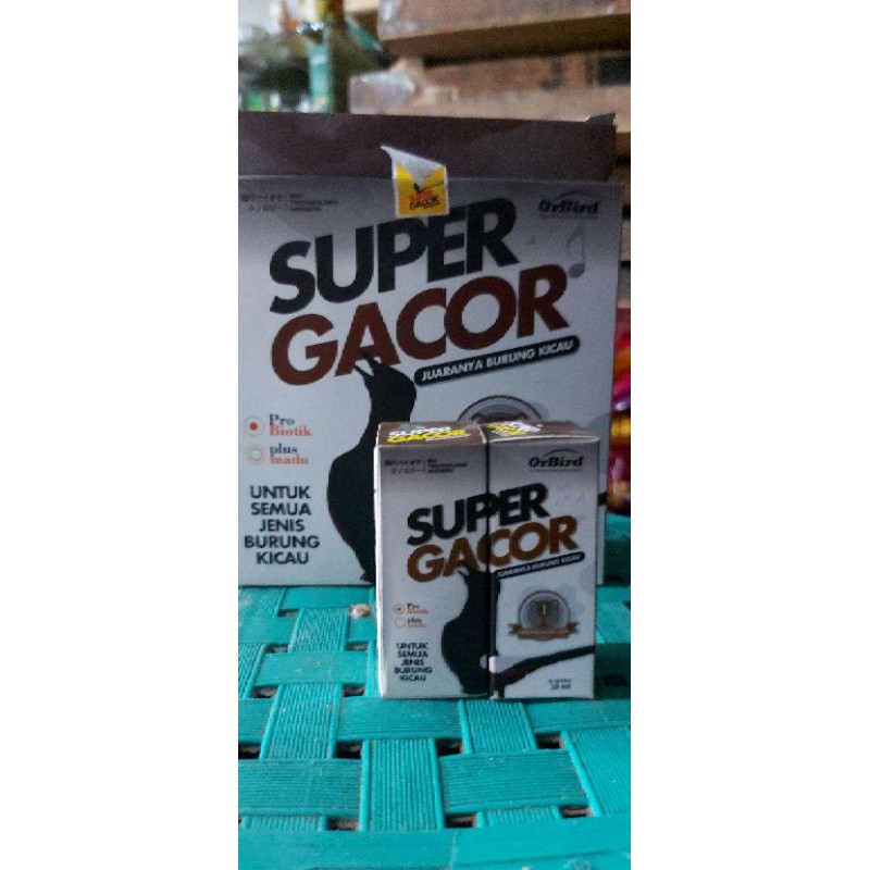 super gacor penggacor burung murai kacer c ijo