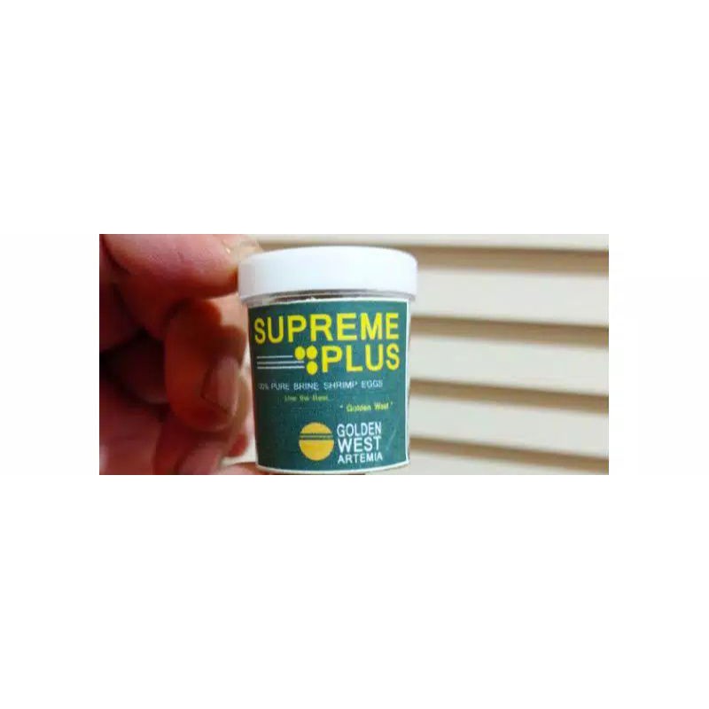 SUPREME PLUS ARTEMIA GOLDEN ORIGINAL:pakan larva burayak cupang guppy