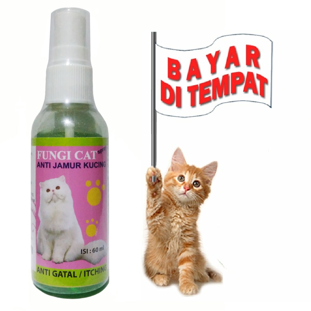 FUNGI CAT OBAT JAMUR KUCING AMPUH OBAT INFEKSI KULIT SCABIES LUKA KORENG GATAL KUCING TERMURAH