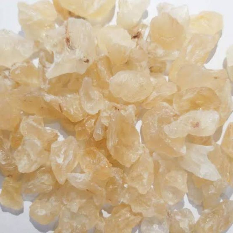 

Snow Bird Nest Kering 100g/Sarang Burung Olahan kering/Bahan peachgum