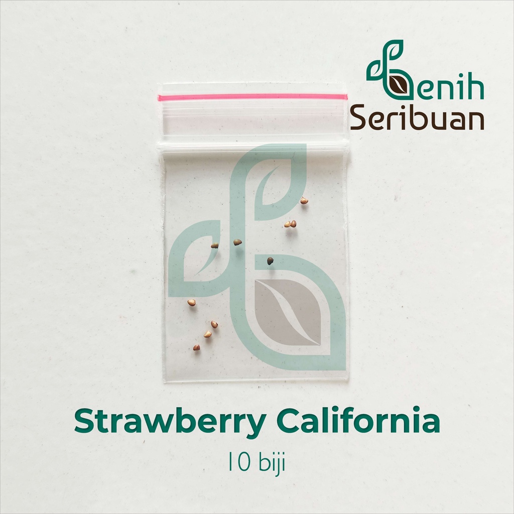 10 Benih Strawberry California Cepat Berbuah Bibit Tanaman Buah Stroberi Manis Import Super Unggul-8