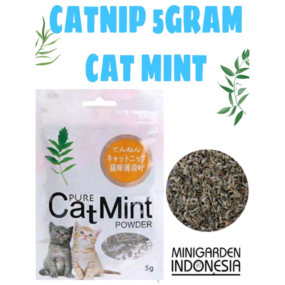 CAT MINT 5GRAM catnip sachet catmint powder serbuk daun snack kucing