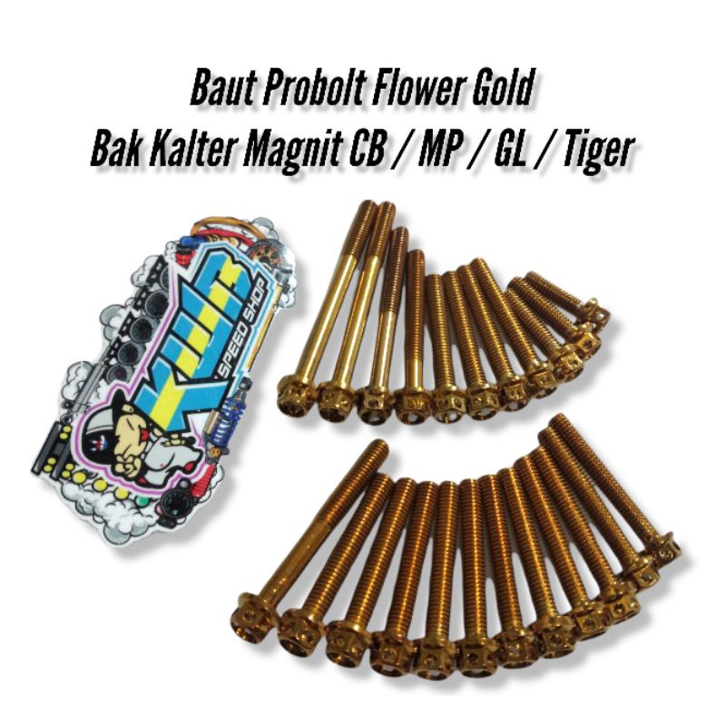 BAUT PROBOLT BLOK MESIN CB GL MEGAPRO TIGER BAUT PROBOLT BAK MESIN SET KIRI KANAN PNP HONDA TIGER BAUT PROBOLT BLOK MESIN TIGER CB GL MEGAPRO BAUT BAK MESIN SET KIRI KANAN PNP HONDA TIGER Baut Probolt Blok Mesin CB GL MEGAPRO TIGER REVO