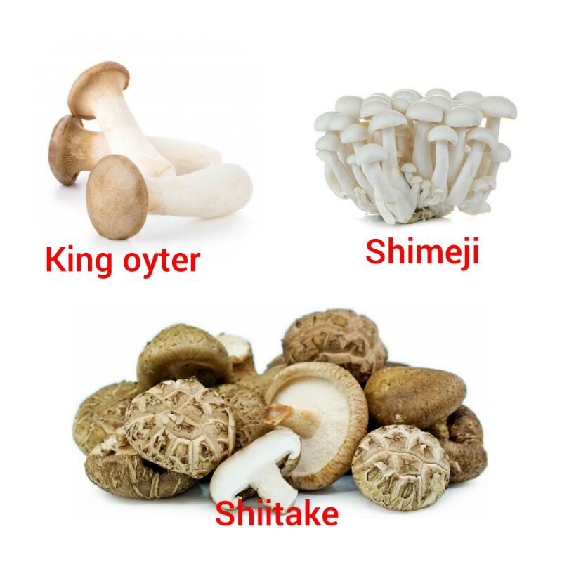 

Jamur Shiitake,Shimeji dan King oyster