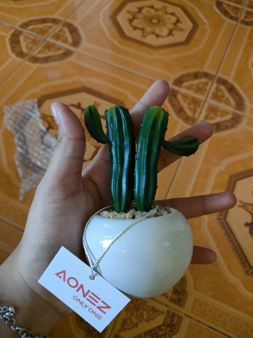 Homes Mystery Box (1 Jenis Produk)