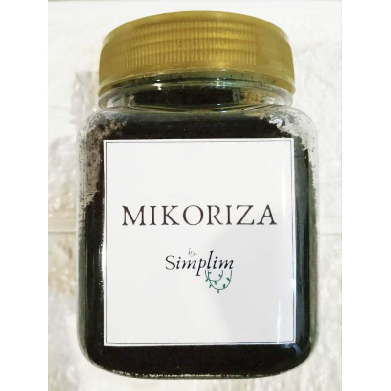 Mikoriza mycorrhizae