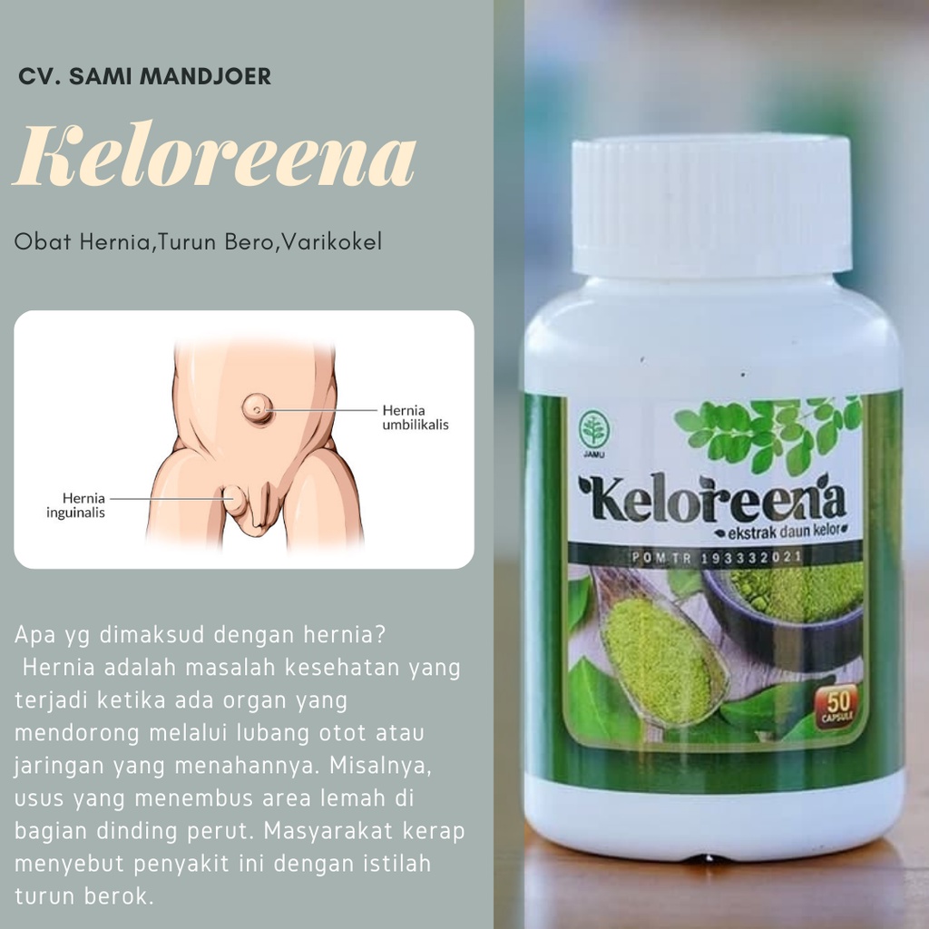 Jual Obat Hernia Turun Berok Turun Berok Radang Buah Pelir Hidrokel