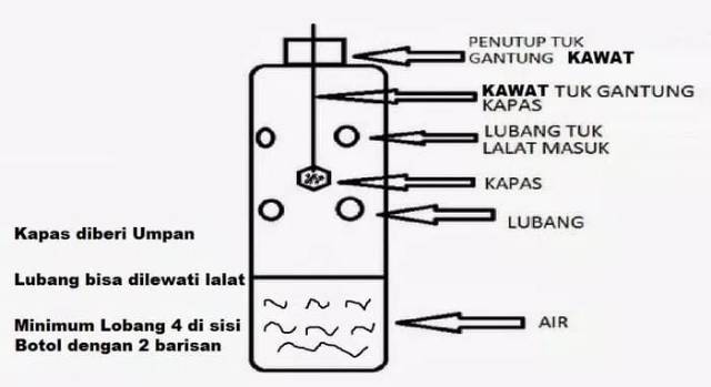 Petrogenol - Atrakan 5ml (perangkap lalat buah)