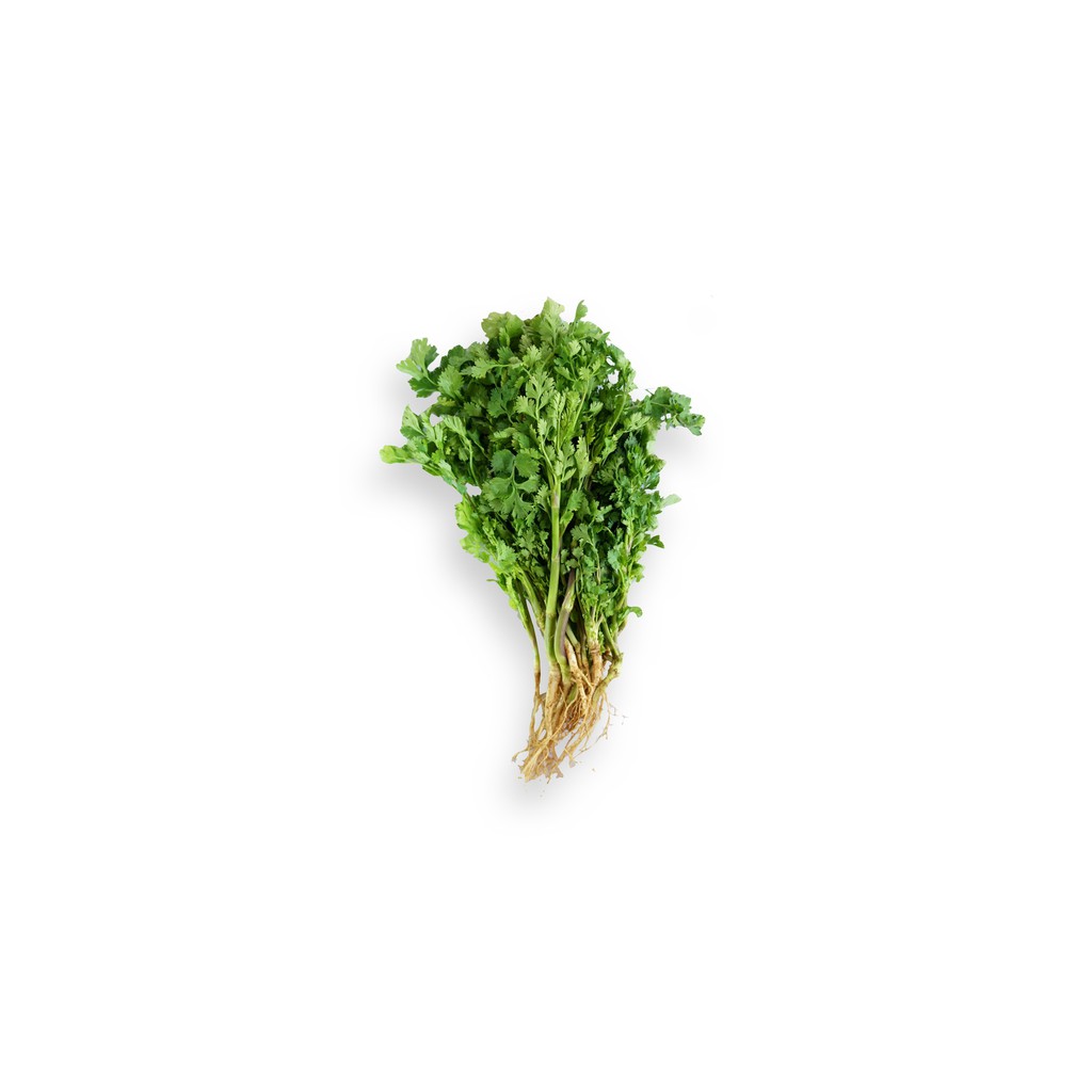 

SAYUR ORGANIK Daun Ketumbar (Wan Sui)