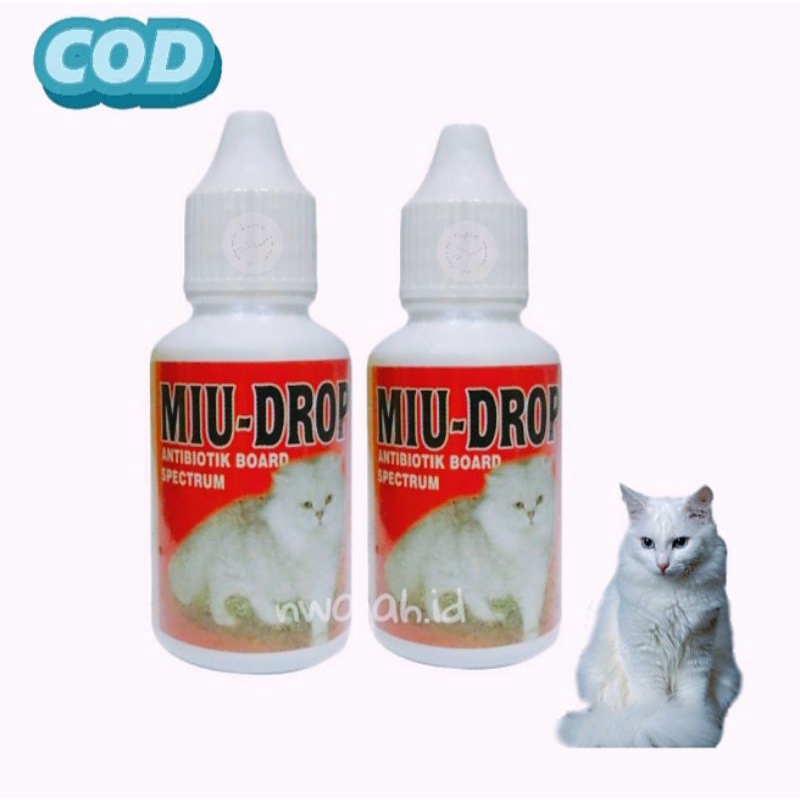 OBAT ANTIBIOTIK KUCING  ANJING MEMBASMI BAKTERI NEGATIF