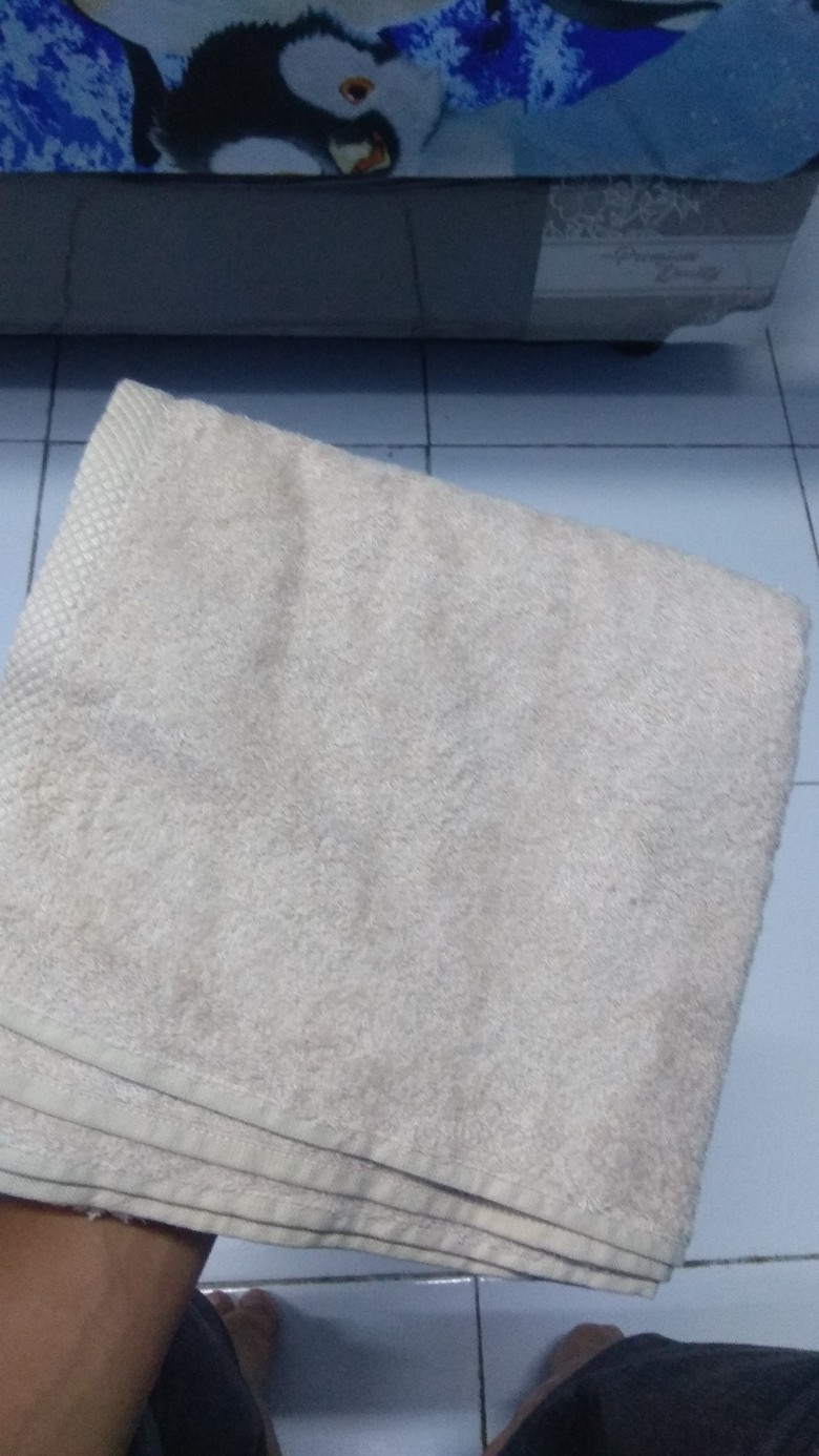 Little Palmerhaus Bam & Boo Bamboo Towel Big (handuk Anak Dewasa)