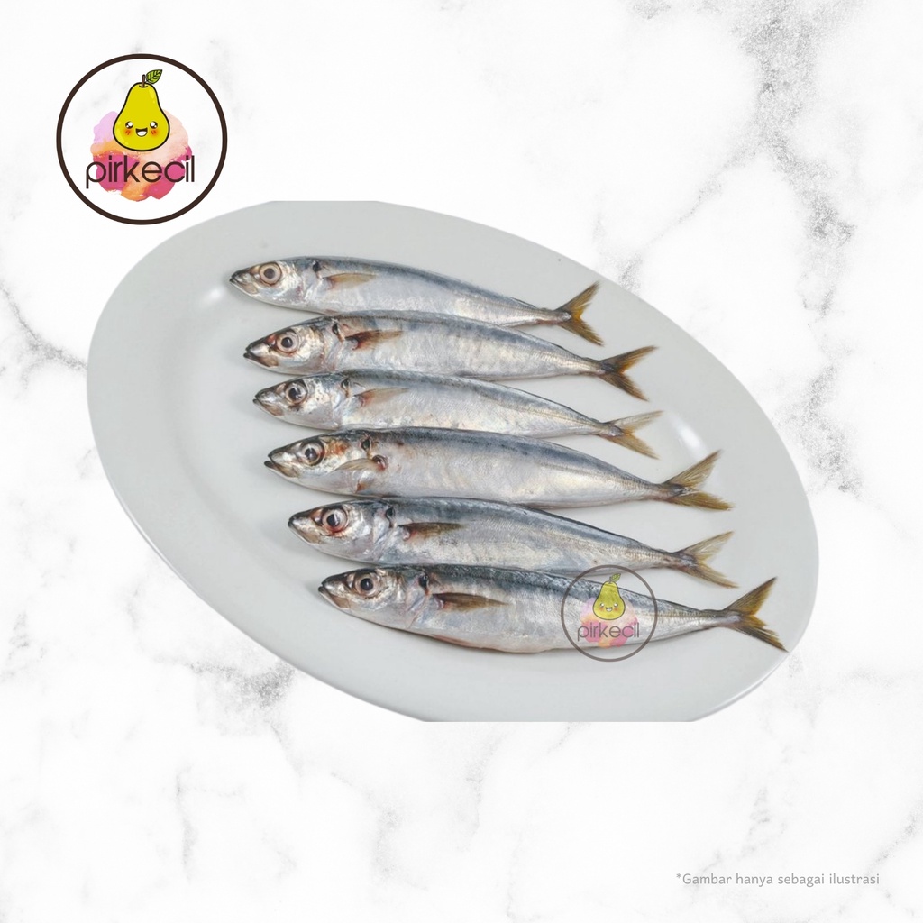 

Ikan Cue SEGAR