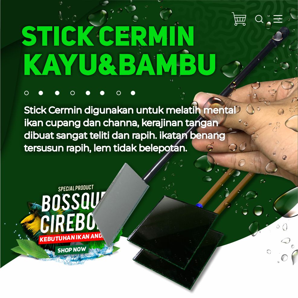 Stick Kaca Cermin Mental Ikan Cupang Channa Latihan Mental Flare Stick Cupang Ngedok