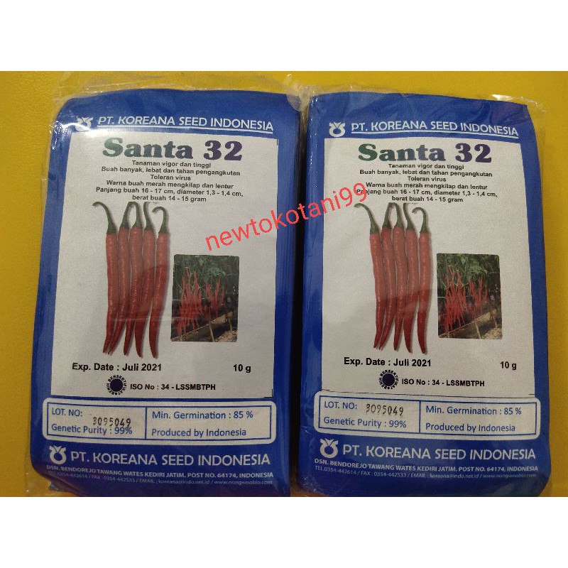 Benih cabe besar SANTA 32 10 gram santa32 dari koreana seed