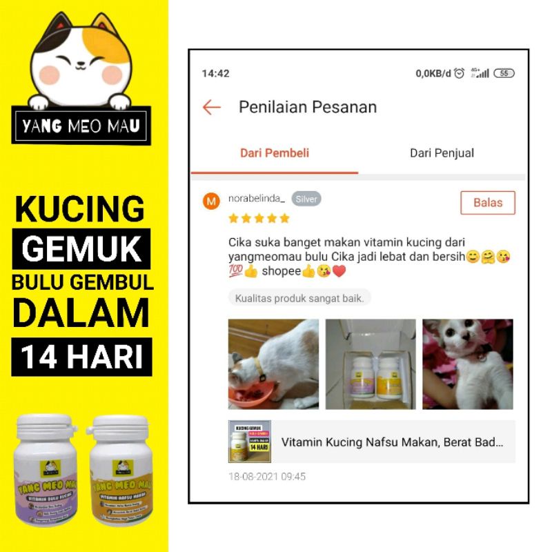 Vitamin Kucing Nafsu Makan, Berat Badan Kurus, Bulu Rontok/Kusam dan Imunitas Tubuh