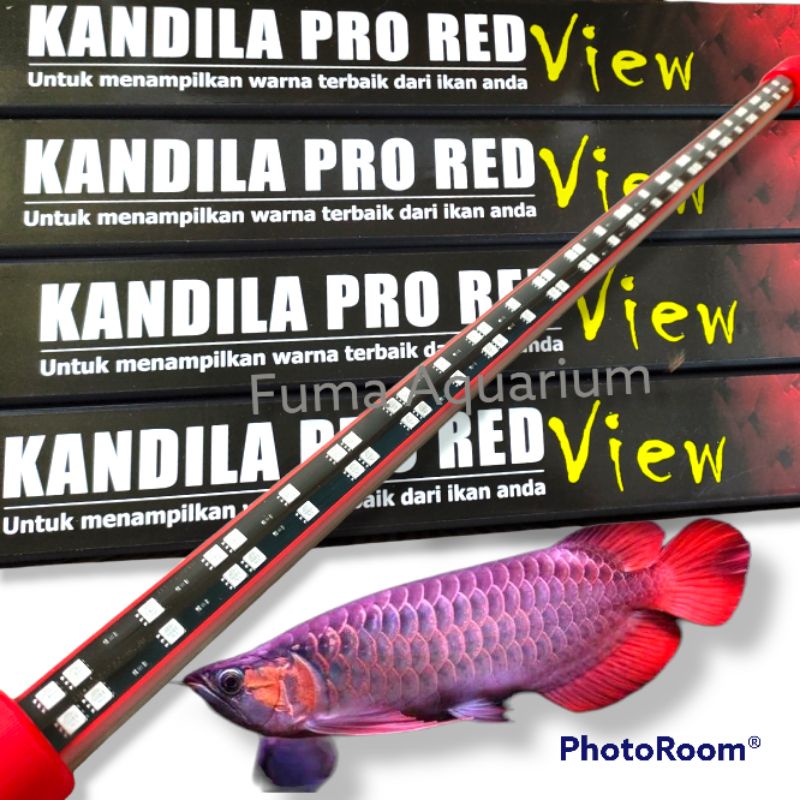 Lampu KANDILA PRO RED VIEW 1000 Lampu View Red Arwana 20 watt 1m Lampu Celup Aquarium