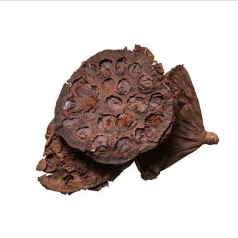 

300 G GR GRAM 荷莲房 HE LIAN FANG MATURE LOTUS RECEPTACLE LOTUS SEED POT FLOS NELUMBINIS