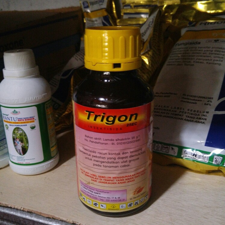 Insektisida Pembasi Lalat Buah Trigon 25 EC 500 ml Lambda Sihalotrin
