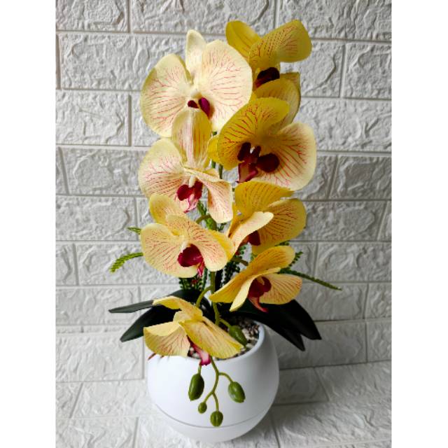 Bunga anggrek jumbo Shopee Indonesia Bunga anggrek jumbo Shopee Indonesia