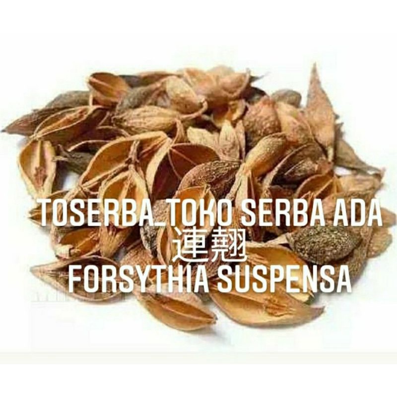 

100gr Herbal Lian Qiao 連翹 Lian Zhao Ke Forsythia Fruit Fructus Forsythiae Forsythia Suspensa