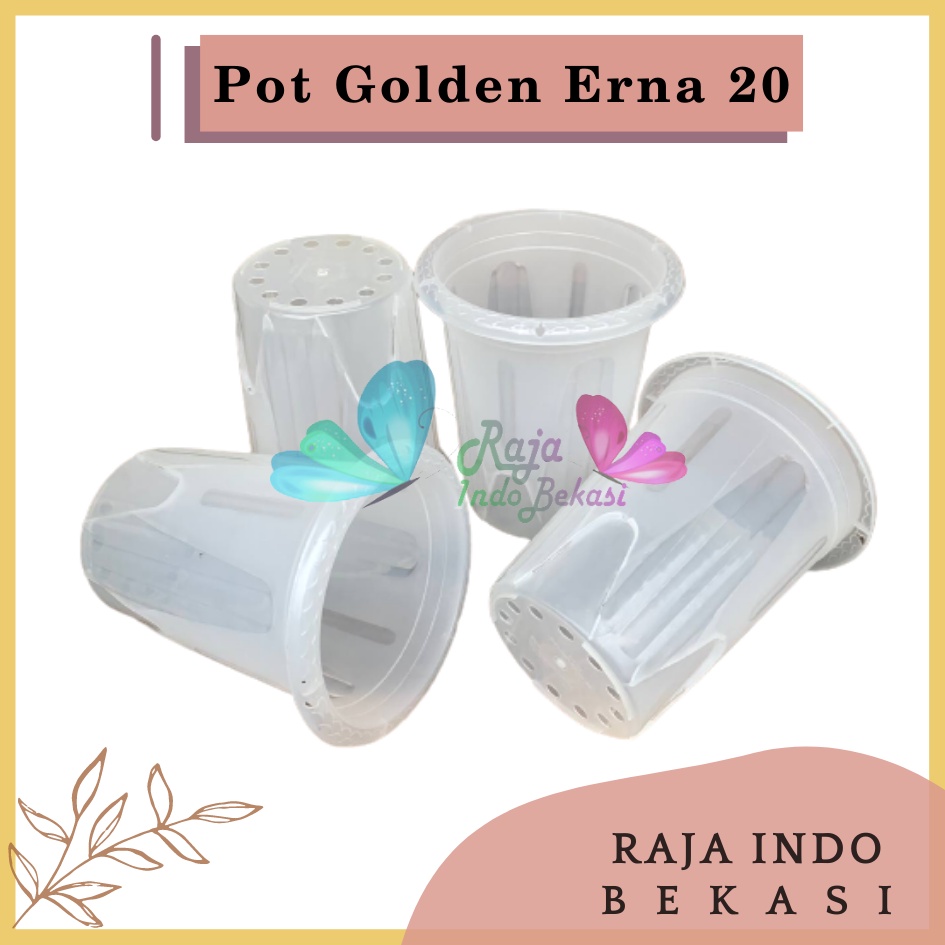 Pot Golden Erna 20 Transparan Bening Garden Of Love Mirip Pot Yogap 18 19 25 Murah Putih Coklat Merah Bata Bening Transparan Pot Yogap 18 19 25 Pot Yogap Murah Pot Bunga Tinggi Pirus Tegak Bagus Tebal