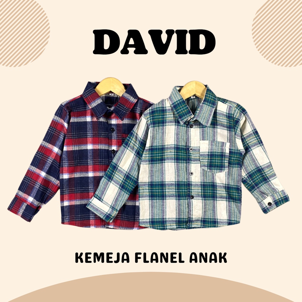 2-5TH KEMEJA FLANEL ANAK DAVID KEMEJA ANAK LAKI LAKI LENGAN PANJANG