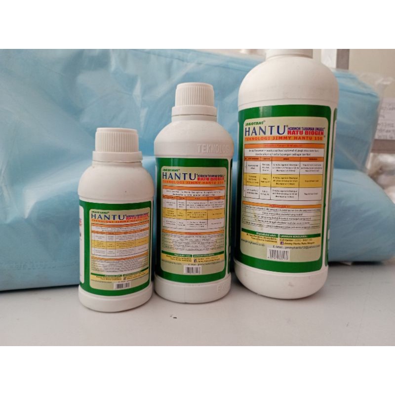 Jimmy Hantu Masa Pembuahan