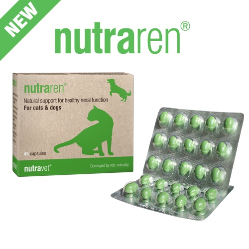 Nutraren Obat & Suplemen Support Ginjal / Sakit Ginjal Kucing & Anjing