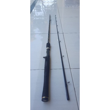 joran bc abu garcia sea caster 12-30 lb